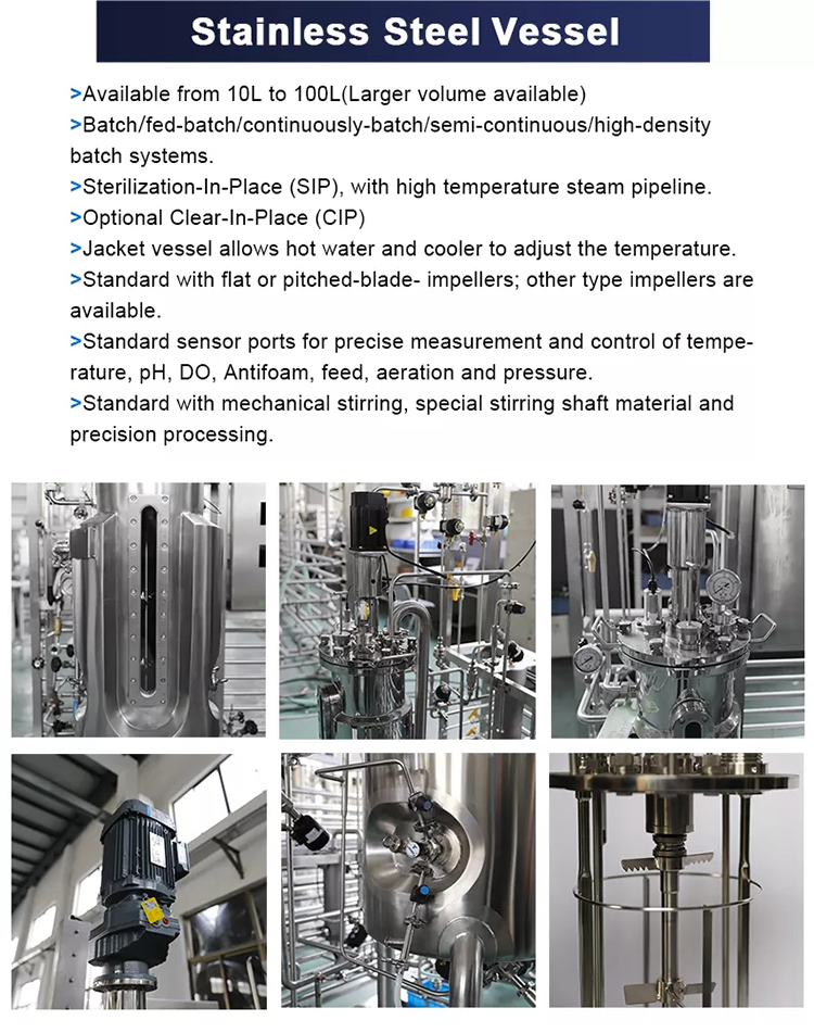 Industrial 20l 50l Automatic Airlift Fermentor Bioreactor Manufacturer