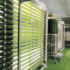 Tubular Industrial Photobioreactor