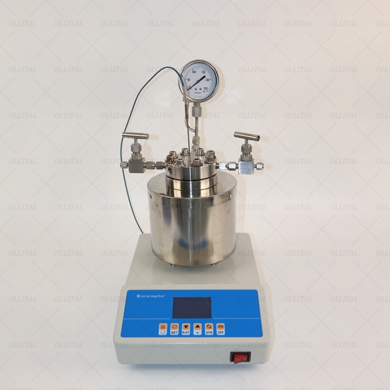 100ML small high temperature and high pressure reactor magnetic stirring reactor